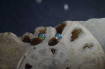 Malutkie Kolczyki Sztyft Naturalny Opal z Etiopii Srebro 925 - 8