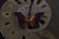 Zawieszka Motyl Kolorowy Srebro 925 - 12