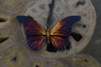 Zawieszka Motyl Kolorowy Srebro 925 - 5