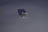 Kolczyki Labradoryt Sztyft Srebro 925 - 11