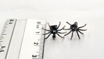 Kolczyki Pająki Sztyft Srebro 925 - 6