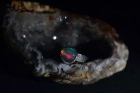 Pierścionek Opal Etiopski Wello r.10 Srebro 925 - 11