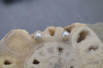 Kolczyki Małe Kolczyki Perła Perełka Sztyft Srebro 925 - 3